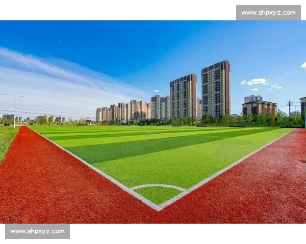 以体育训练基地为核心打造现代化全民健身与竞技发展综合示范高地