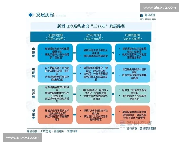 版本强势主导市场格局解析与未来趋势深度研究 版本强势主导市场格局解析与未来趋势深度研究